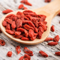 Top Quality Hypotensive Conventional goji berry